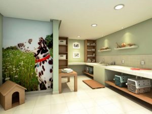Contabilidade para clinica veterinaria